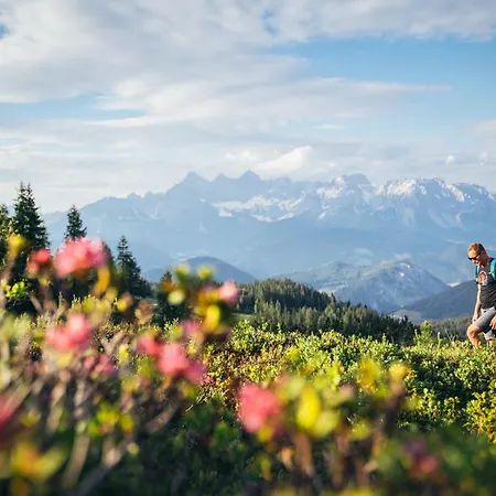 Ferienlodge Edelstein Holiday home