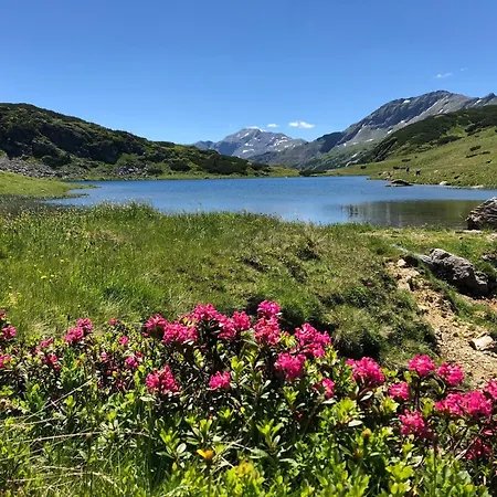 Holiday home Ferienlodge Edelstein Forstau (Salzburg)