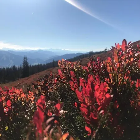 Ferienlodge Edelstein * Forstau (Salzburg)